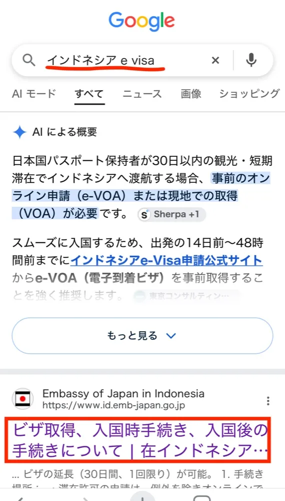 インドネシアのe-visaをGoogleで検索した結果。大使館のページを赤枠で示している
