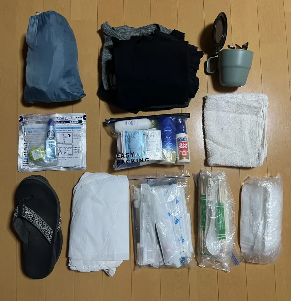 床に並べた旅行の持ち物一式