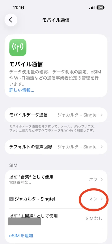 iPhoneのモバイル通信の画面。オンになった旅行用eSIMの回線