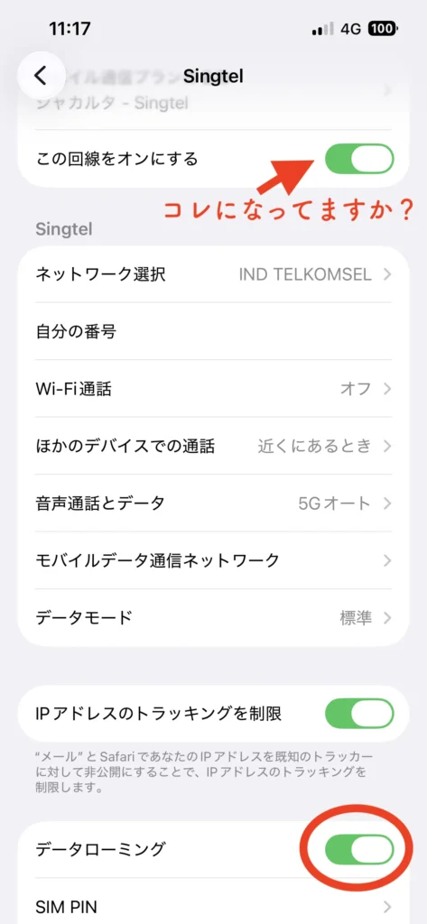 旅行用eSIMの回線の設定画面。回線とデータローミングがオンになっている